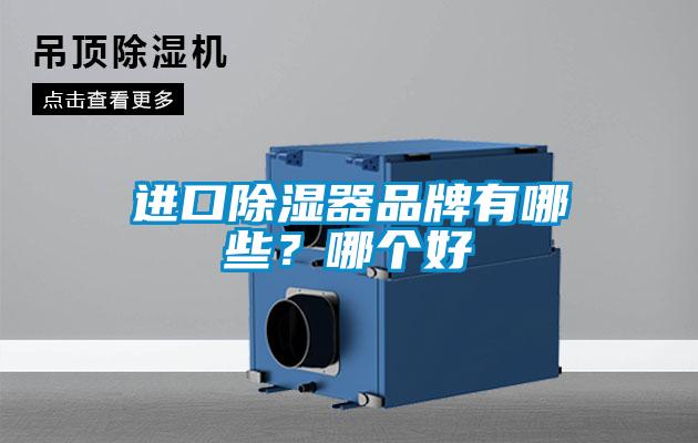 進(jìn)口除濕器品牌有哪些?哪個好