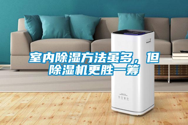 室內(nèi)除濕方法雖多，但除濕機更勝一籌