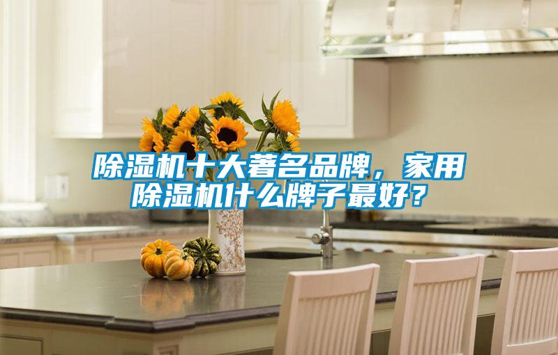 除濕機(jī)十大著名品牌,家用除濕機(jī)什么牌子最好?