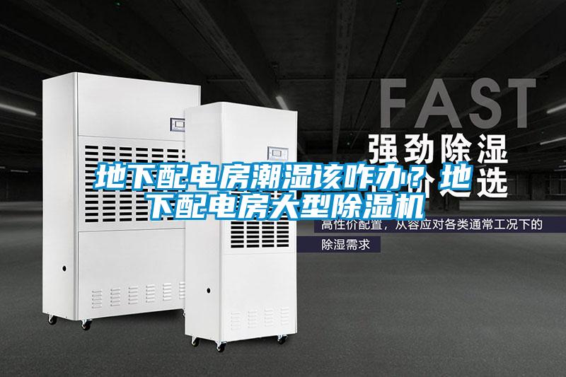 地下配電房潮濕該咋辦？地下配電房大型除濕機