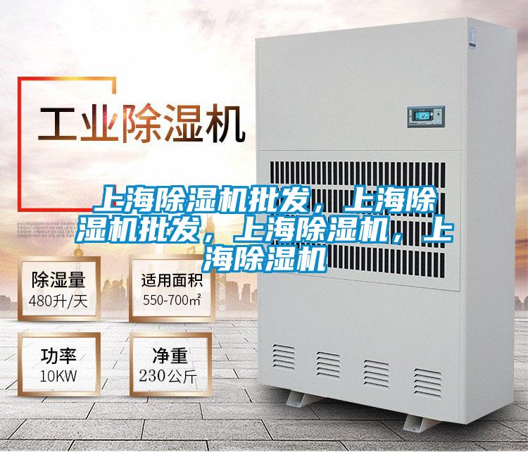 上海除濕機(jī)批發(fā)，上海除濕機(jī)批發(fā)，上海除濕機(jī)，上海除濕機(jī)