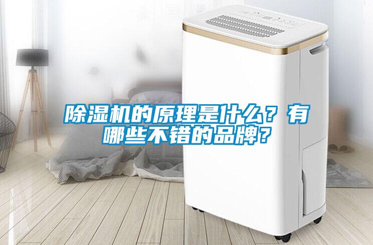 除濕機的原理是什么？有哪些不錯的品牌？