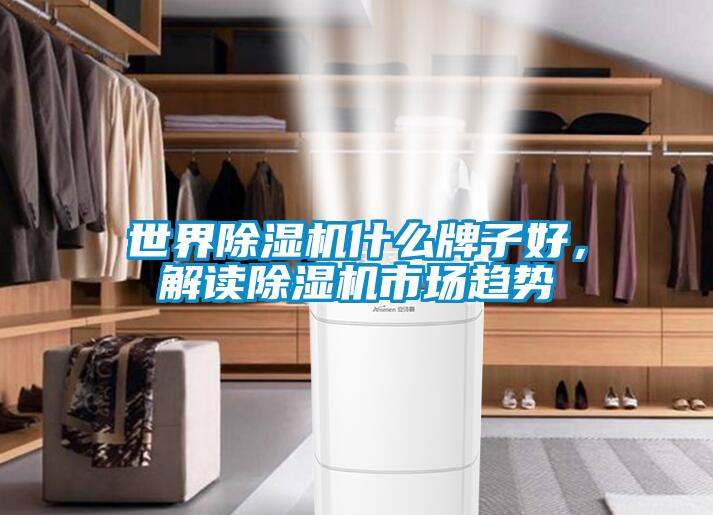 世界除濕機什么牌子好，解讀除濕機市場趨勢