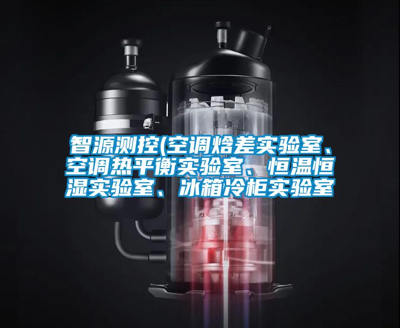 智源測控(空調(diào)焓差實(shí)驗(yàn)室、空調(diào)熱平衡實(shí)驗(yàn)室、恒溫恒濕實(shí)驗(yàn)室、冰箱冷柜實(shí)驗(yàn)室