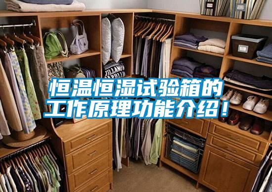 恒溫恒濕試驗(yàn)箱的工作原理功能介紹！