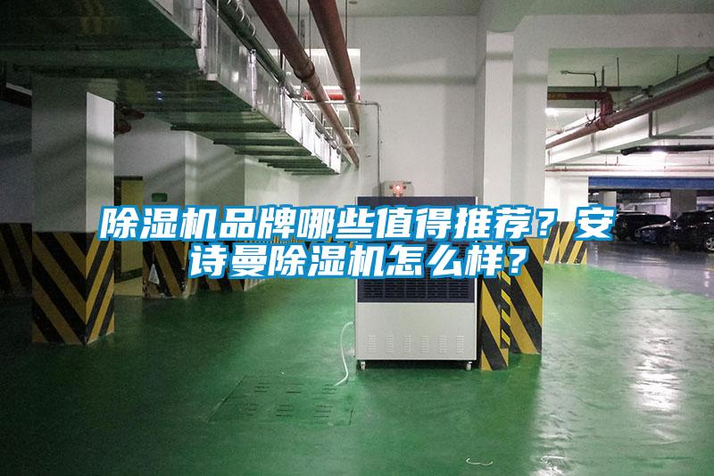 除濕機品牌哪些值得推薦？安詩曼除濕機怎么樣？