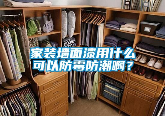 家裝墻面漆用什么可以防霉防潮??？