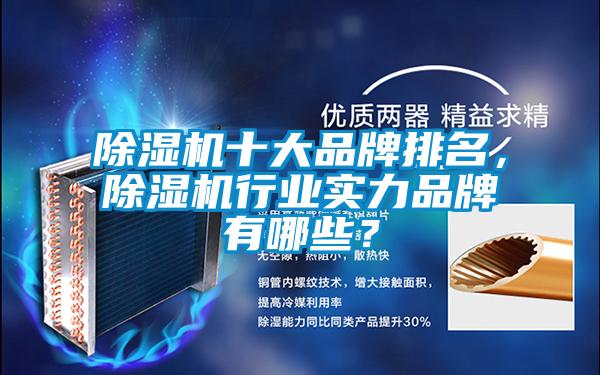除濕機十大品牌排名，除濕機行業(yè)實力品牌有哪些？