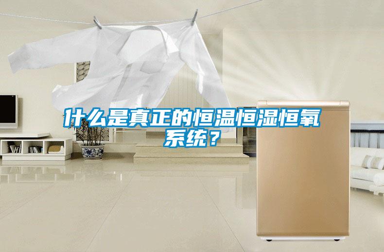 什么是真正的恒溫恒濕恒氧系統？