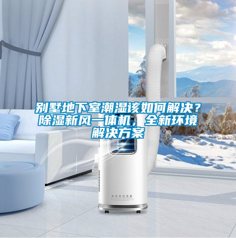 別墅地下室潮濕該如何解決?除濕新風(fēng)一體機(jī),全新環(huán)境解決方案