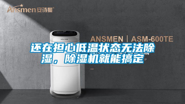 還在擔心低溫狀態無法除濕，除濕機就能搞定