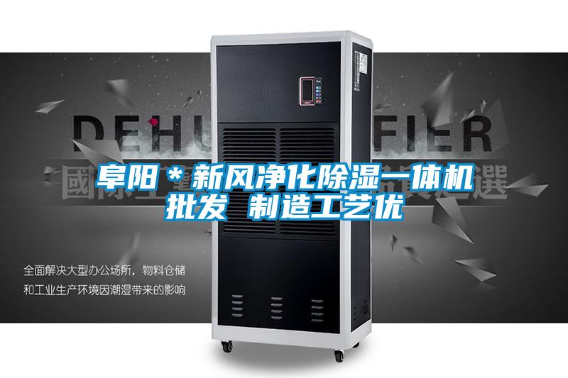阜陽*新風凈化除濕一體機批發(fā) 制造工藝優(yōu)