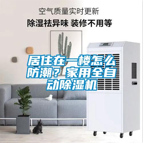 居住在一樓怎么防潮？家用全自動除濕機(jī)