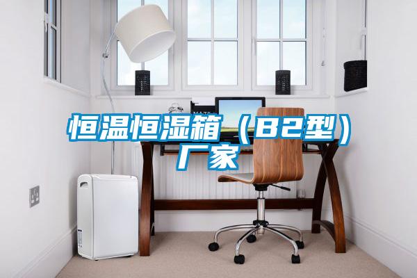 恒溫恒濕箱(B2型)廠家
