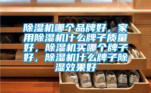 除濕機(jī)哪個(gè)品牌好,家用除濕機(jī)什么牌子質(zhì)量好,除濕機(jī)買哪個(gè)牌子好,除濕機(jī)什么牌子除濕效果好