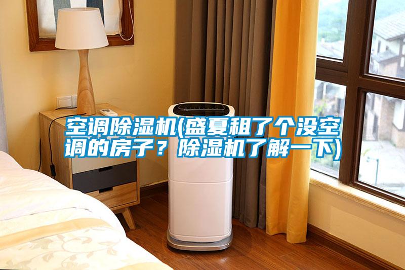 空調(diào)除濕機(盛夏租了個沒空調(diào)的房子？除濕機了解一下)