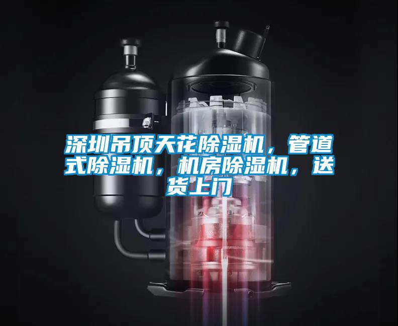 深圳吊頂天花除濕機(jī)，管道式除濕機(jī)，機(jī)房除濕機(jī)，送貨上門