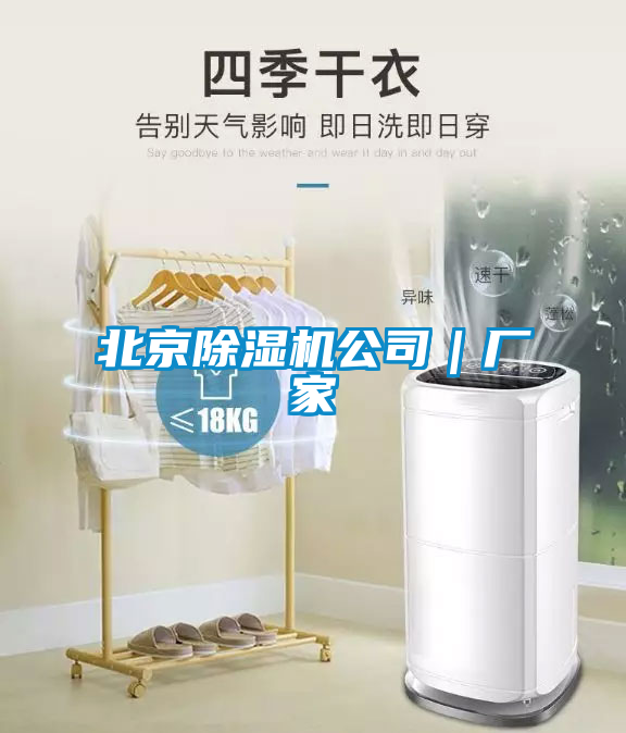 北京除濕機(jī)公司|廠家