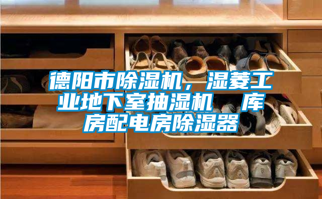 德陽市除濕機，濕菱工業地下室抽濕機  庫房配電房除濕器