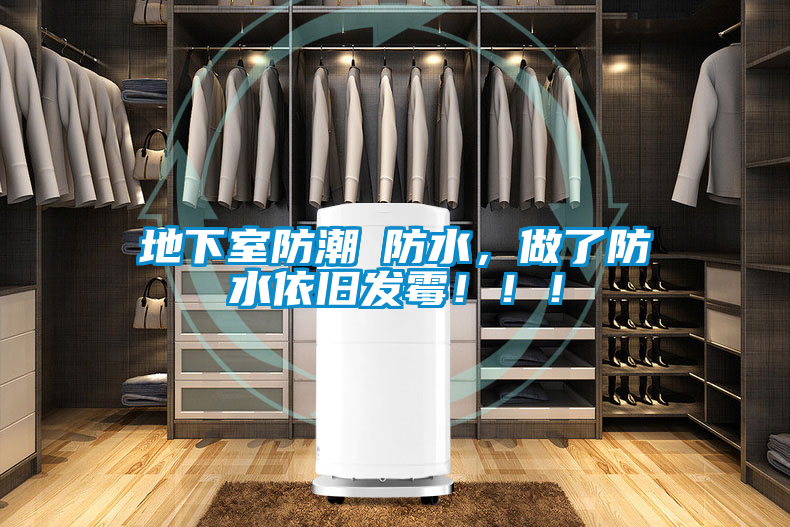 地下室防潮≠防水，做了防水依舊發霉！??！