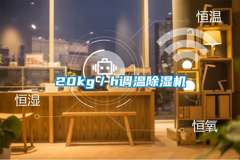20kg/h調溫除濕機