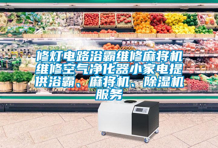 修燈電路浴霸維修麻將機維修空氣凈化器小家電提供浴霸、麻將機、除濕機服務(wù)