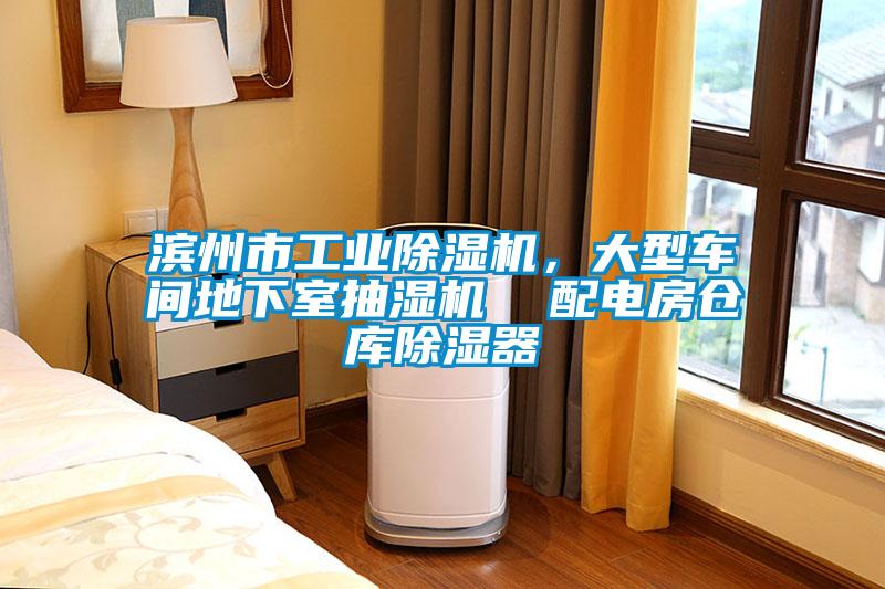 濱州市工業除濕機，大型車間地下室抽濕機  配電房倉庫除濕器
