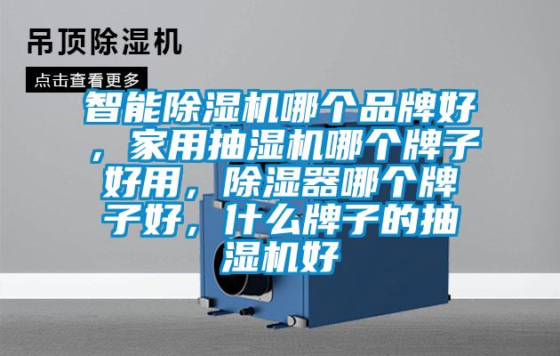 智能除濕機哪個品牌好，家用抽濕機哪個牌子好用，除濕器哪個牌子好，什么牌子的抽濕機好