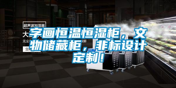 字畫恒溫恒濕柜，文物儲藏柜，非標(biāo)設(shè)計(jì)定制！