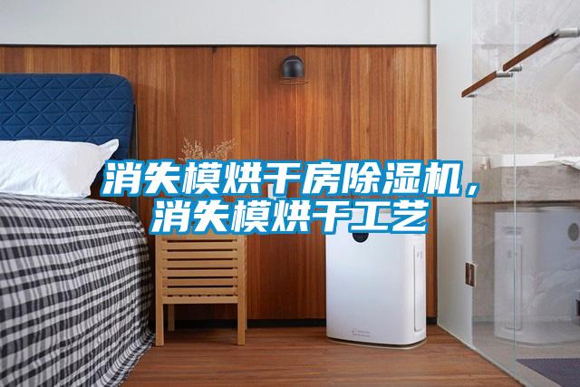 消失模烘干房除濕機(jī),消失模烘干工藝
