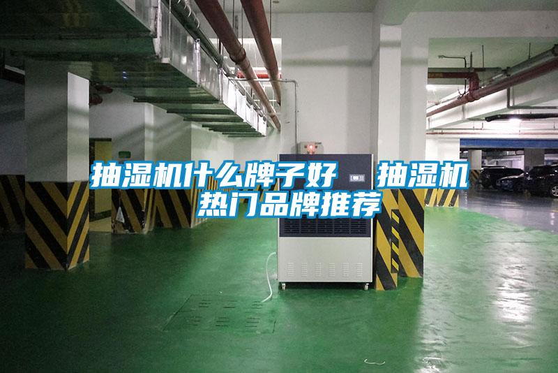 抽濕機(jī)什么牌子好 抽濕機(jī) 熱門品牌推薦