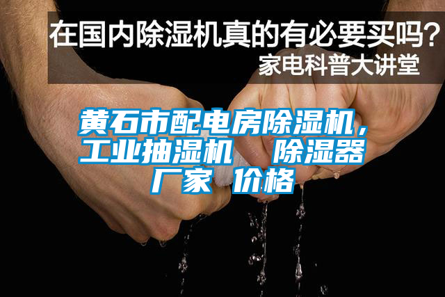 黃石市配電房除濕機(jī),工業(yè)抽濕機(jī) 除濕器廠家 價格