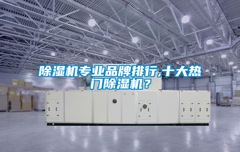 除濕機(jī)專業(yè)品牌排行,十大熱門除濕機(jī)？
