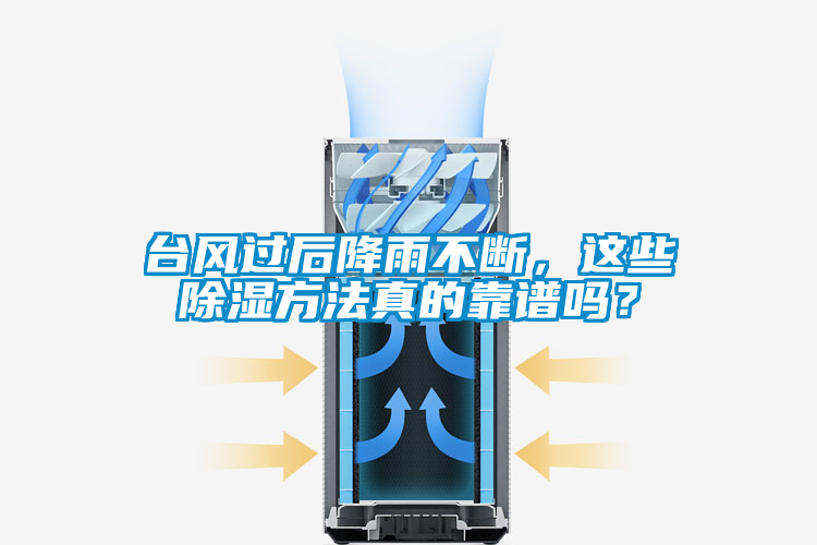 臺風過后降雨不斷，這些除濕方法真的靠譜嗎？