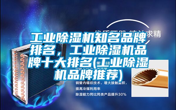 工業(yè)除濕機(jī)知名品牌排名，工業(yè)除濕機(jī)品牌十大排名(工業(yè)除濕機(jī)品牌推薦)