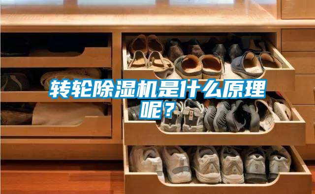 轉輪除濕機是什么原理呢？