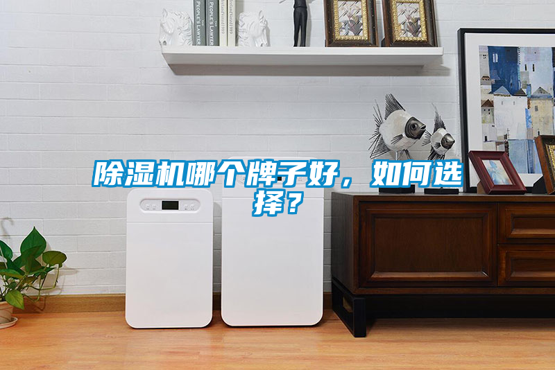 除濕機哪個牌子好，如何選擇？