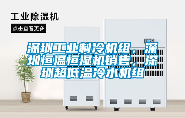 深圳工業(yè)制冷機組，深圳恒溫恒濕機銷售，深圳超低溫冷水機組