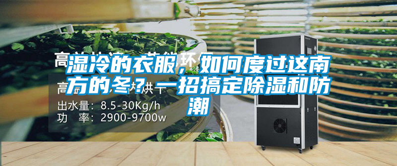 濕冷的衣服，如何度過這南方的冬？一招搞定除濕和防潮