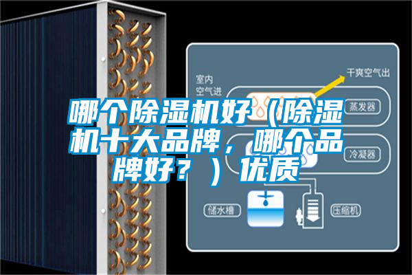 哪個除濕機好（除濕機十大品牌，哪個品牌好？）優(yōu)質(zhì)