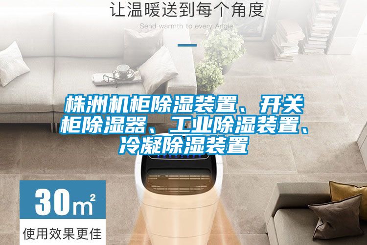 株洲機(jī)柜除濕裝置、開(kāi)關(guān)柜除濕器、工業(yè)除濕裝置、冷凝除濕裝置