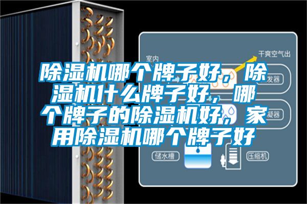 除濕機哪個牌子好，除濕機什么牌子好，哪個牌子的除濕機好，家用除濕機哪個牌子好