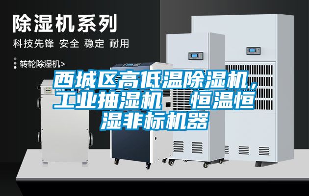 西城區高低溫除濕機，工業抽濕機  恒溫恒濕非標機器