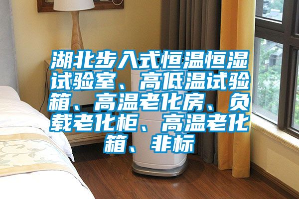 湖北步入式恒溫恒濕試驗室、高低溫試驗箱、高溫老化房、負載老化柜、高溫老化箱、非標