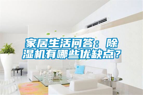 家居生活問答:除濕機(jī)有哪些優(yōu)缺點(diǎn)?