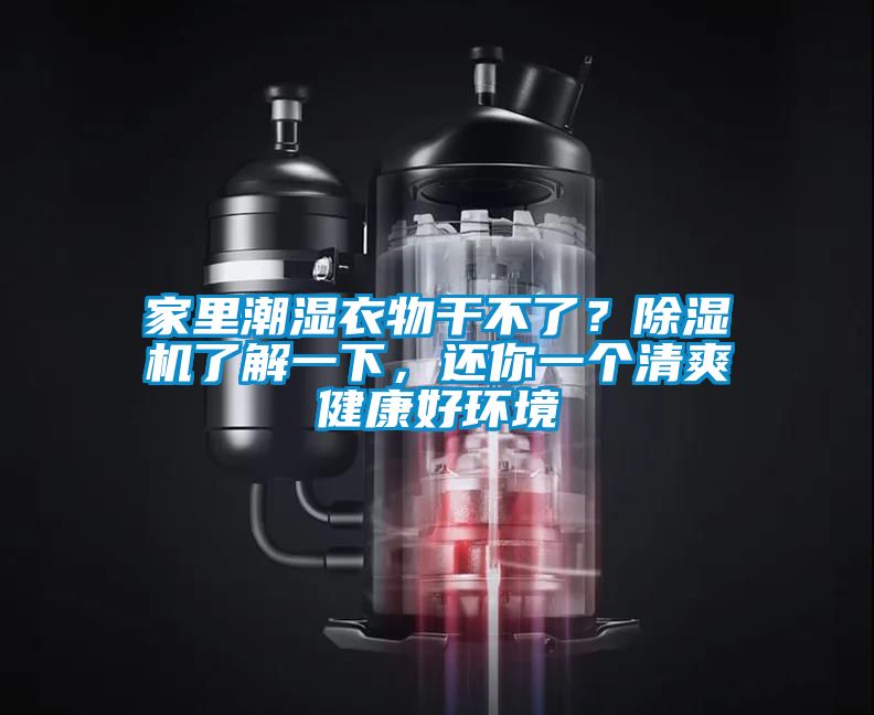 家里潮濕衣物干不了？除濕機(jī)了解一下，還你一個(gè)清爽健康好環(huán)境