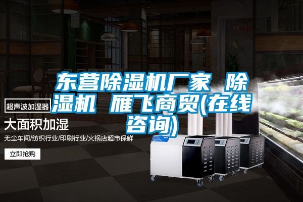 東營(yíng)除濕機(jī)廠(chǎng)家 除濕機(jī) 雁飛商貿(mào)(在線(xiàn)咨詢(xún))