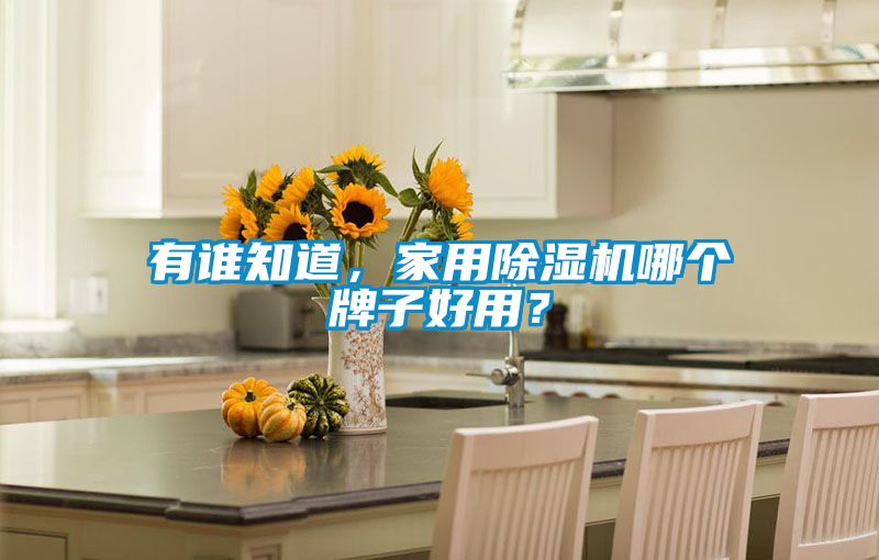 有誰(shuí)知道，家用除濕機(jī)哪個(gè)牌子好用？