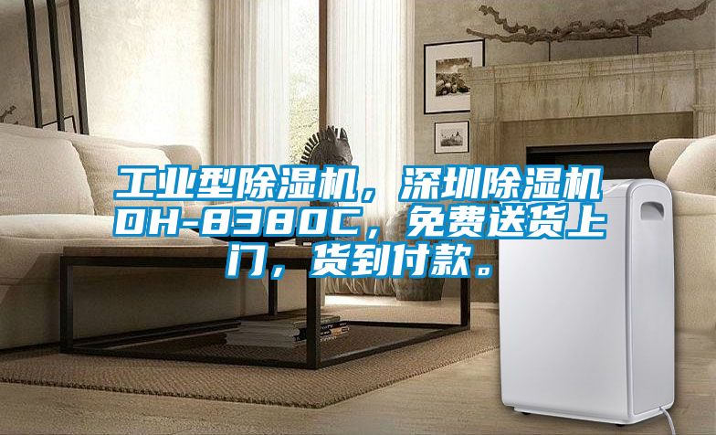 工業(yè)型除濕機,深圳除濕機DH-8380C,免費送貨上門,貨到付款。