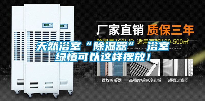 天然浴室“除濕器” 浴室綠植可以這樣擺放！